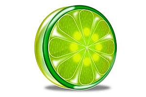 LimeWire has been shut down by a US federal court following a lawsuit by the music industry in 2006.