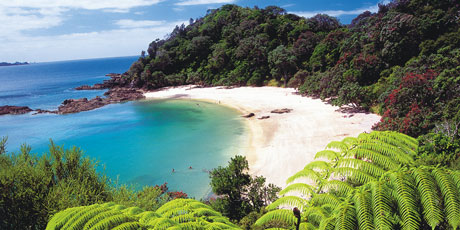 The Tutukaka Coast has been named one of the top coastlines in the world by National Geographic Traveler magazine. Photo / Supplied The Tutukaka Coast has been named one of the top coastlines in the world by National Geographic Traveler magazine. Photo / Supplied