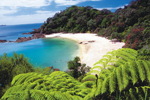 The Tutukaka Coast has been named one of the top coastlines in the world by National Geographic Traveler magazine. Photo / Supplied