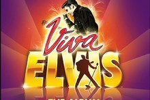 Elvis Presley, Viva Elvis The Album cover. Photo / Supplied Elvis Presley, Viva Elvis The Album cover. Photo / Supplied