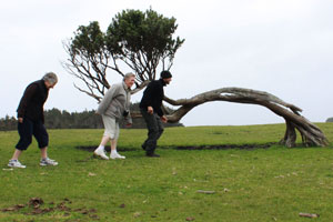 The Chatham Islands offer some weird and wonderful sights. Photo / Jim Eagles