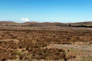 Figures released by NIWA this month show that Northland is even drier than it was at this time last year. Photo / Sarah Ivey