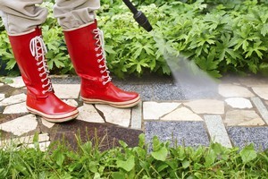 Instead of a garden path with shrubs, try planting a path with herbs and vegetables. Photo / Thinkstock