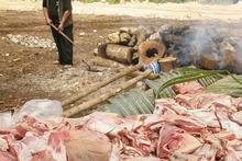 Pacific countries - which have the highest obesity rates in the world - buy 19 per cent of New Zealand's meat flap exports. Photo / Alan Gibson Pacific countries - which have the highest obesity rates in the world - buy 19 per cent of New Zealand's meat flap exports. Photo / Alan Gibson