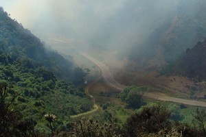 Smoke drifts across the Waimate Gorge during the bush fire. Photo / Alex Fensome