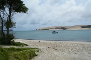The flounder-rich Hokianga harbour with its famous sandhills. Photo / Supplied