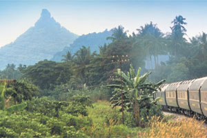 The Eastern and Oriental Express deserves its reputation for great views. Photo / Supplied