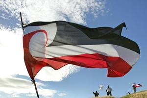 The Tino Rangatiratanga flag will fly on Waitangi Day, alongside the New Zealand flag. Photo / Brett Phibbs