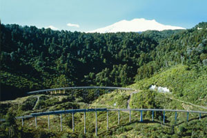 Travelling over the Hapua Whenua viaduct. Photo / Supplied