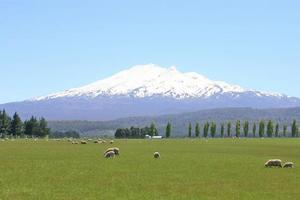 Spectacular views of Ruapehu can be seen from the cobblestoned trail of the Ohakune Old Coach Road. Photo / Jim Eagles