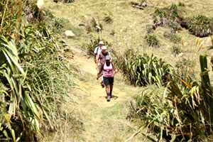 A gentle grassy descent makes Te Henga Walkway the most popular part of the trail for old and young alike. Photo / Natalie Slade