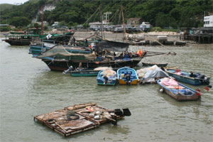 Every kind of vessel imaginable floats on the waters off Tai O fishing village. Photo / Jim Eagles