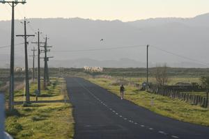 A feasibility study is still under way into the Hauraki Plains cycleway. Photo / Glenn Jeffrey