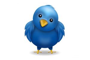 Twitter users are being targeted by a large-scale phishing scam.
