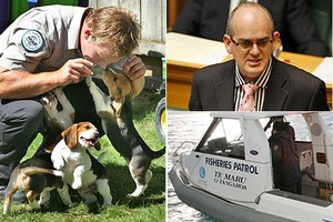 Photos / Brett Phibbs, Mark Mitchell