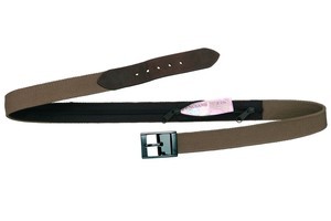 DesignGo Belt Bank. Photo / Supplied
