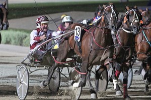 Stunin Cullen (13) was superb winning the Hunter Cup last month. Photo / Harness Racing Victoria