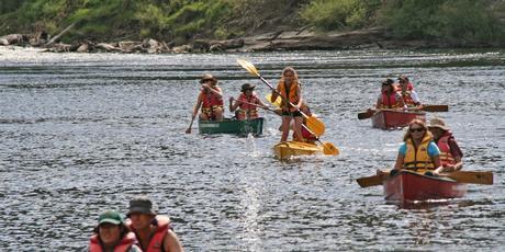 Kayaking the Whanganui River. Photo / Liz French