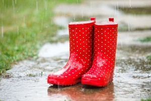 Photo / Thinkstock