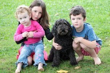 Greta Hunt (L), Grace King and Noah Hunt with Betsy. Photo / Doug Sherring