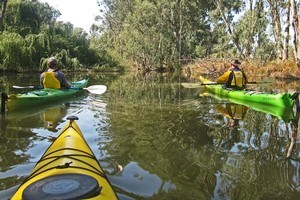 A meander down the Murray proves the perfect antidote to waterskiing lessons. Photo / Rob McFarland