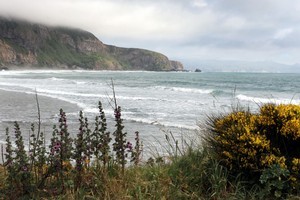 The beach at Aramoana. Photo / Herald on Sunday