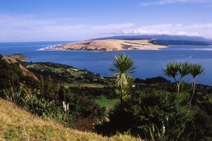 A view of the dramatic seascape at the Hokianga Harbour entrance. Photo / Paul Rush