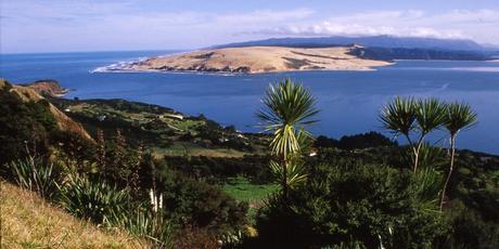 A view of the dramatic seascape at the Hokianga Harbour entrance. Photo / Paul Rush