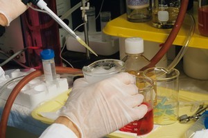 Photo / Thinkstock