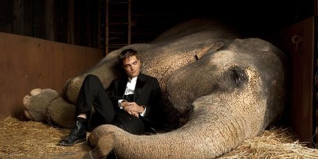 Robert Pattinson in Water For Elephants. Photo / Supplied Robert Pattinson in Water For Elephants. Photo / Supplied