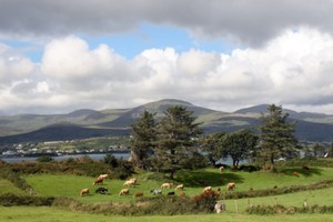 Jillian Godsil has lost at least €1 million after purchasing an Irish country house. Photo / Thinkstock