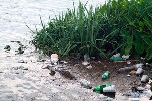 People can face an instant fine of up to $200 for littering. Photo / Thinkstock
