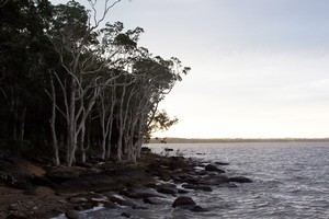 Lake Cootharaba.