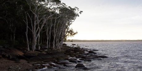 Lake Cootharaba.