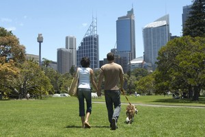 The new authorised financial adviser has to pass exams which are no walk in the park. Photo / Thinkstock