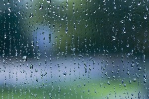 Photo / Thinkstock