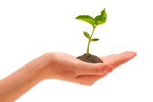 It's good to know how your savings are growing. Photo / Thinkstock It's good to know how your savings are growing. Photo / Thinkstock