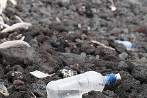 Most of the rubbish found on our coasts is from household consumers. Photo / Supplied