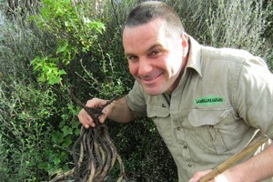 Justin advises adding ingredients such as seaweed, animal manure, banana skins and excess herbs to your weed barrel during winter. Photo / Supplied