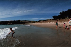 Tawharanui beach. Photo / Supplied
