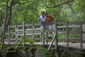 Parents still take their children to Ashdown Forest, the setting of 'Winnie-the-Pooh', where author AA Milne once walked with his son Christopher. Photo / Martin Brent