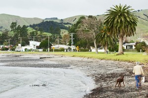 Kawakawa Bay is an old-fashioned beach town just one hour from central Auckland. Photo / Kenny Rodger