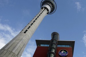 SkyCity runs a bus terminal under sufferance... Photo / Dean Purcell