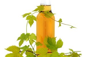 Too much hops and alcohol makes beer undrinkable. Photo / ThinkStock