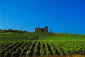 One hundred years ago, riots broke out in France after it was ruled the Aube district was not allowed to call its elegant, sparkling wine 'champagne'. Photo / Thinkstock