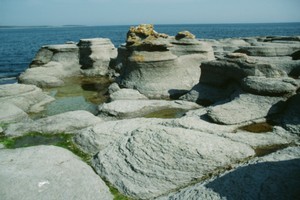 Beaches may have been the key habitat where Earth's first lifeforms thrived. Photo / Thinkstock