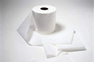 Toilet paper maker Cottonsoft says claims that its paper comes from felling Indonesian rainforests are "wrong and outrageous". File photo / Thinkstock
