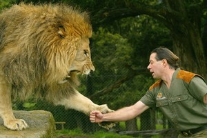 Zion Wildlife Gardens and its handler, Craig Busch (pictured), became world-renowned through the 'Lion Man' television series. Photo / Brett Phibbs