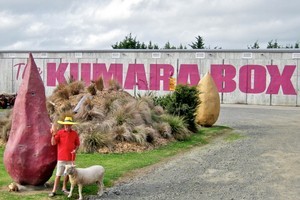 The Kumara Box, Dargaville. Photo / Supplied
