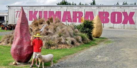 The Kumara Box, Dargaville. Photo / Supplied